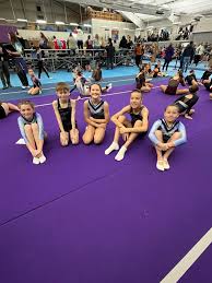 Image result for West Wight Trampoline Club