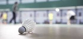 Image result for Warwick Bears Badminton Club