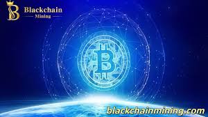 Image result for 뺾