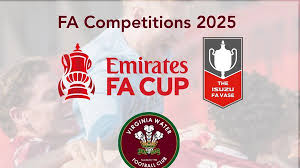 Image result for Virginia Water Fc