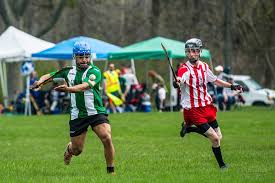 Image result for Causeway Hurling Club