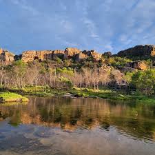 Billedresultat for kakadu n...