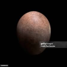 Attēlu rezultāti vaicājumam “Emberiza schoeniclus eggs”