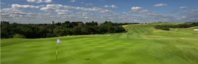 Image result for Central London Golf Club