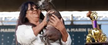 Image result for ugliest dog