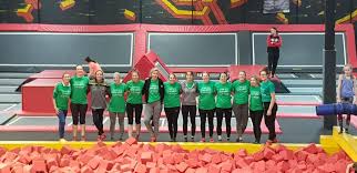 Image result for Green Isle Camogie Club - Players Wanted!
