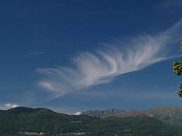 Attēlu rezultāti vaicājumam “Cirrus fibratus”