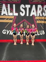 Image result for Gym Stars Cheerdancing Club