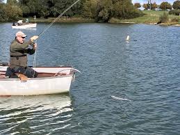 Image result for Segdoune Flyfishers` Angling Club