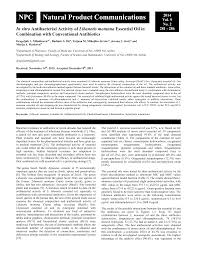 Attēlu rezultāti vaicājumam “Libanotis montana leaf”