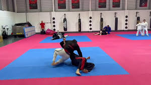 Image result for Universal Judo Academies