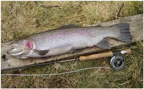 Image result for Airdrie & District Angling Club