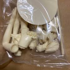 「チコ・サイエンス」の画像検索結果