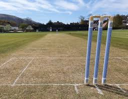 Image result for Stretton Cricket Club