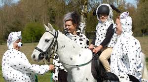 Image result for Bookham Riding School