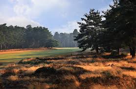 Image result for Hankley Common Golf Club