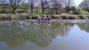 Image result for Exe-Calibre Dragon Boat Team, Exeter