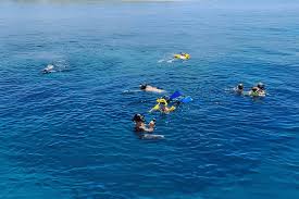 Image result for Wyndley NSC Snorkelling Club