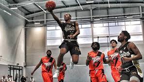 Image result for Nottingham Wildcats