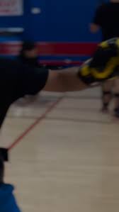 Image result for Vipers Thai/Kickboxing School