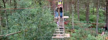 Image result for Go Ape! Moors Valley