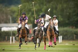 Image result for Woolmers Park Polo Club