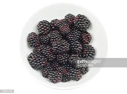 Image result for Rubus sectio