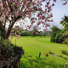 Image result for Criccieth Golf Club