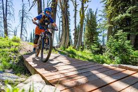 Image result for Uwe Mountain Biking Club