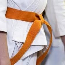 Image result for Kaizen No-Michi School of Shotokan Karate