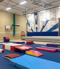 Image result for North East London Gymnastics Club