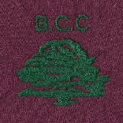 Image result for Old Woking Cricket Club