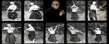 Image result for Bujinkan Truro Dojo