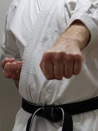 Image result for Thatcham Wado Karate Club