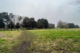 Image result for Immingham Golf Club