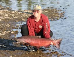 Image result for Oncorhynchus tshawytscha