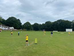 Image result for Barnt Green Sports Club