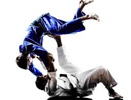Image result for Felixstowe Judo club