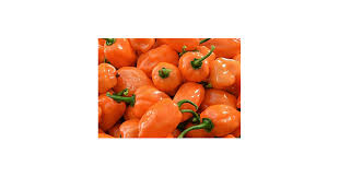 Afbeeldingsresultaat voor orange habanero hot pepper