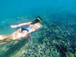 Image result for Wyndley NSC Snorkelling Club