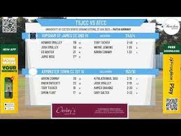 Image result for Axminster Town Cricket Club