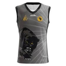 Image result for Onslow Pink Panthers Junior Netball Club