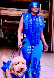 Image result for i dont give a fork