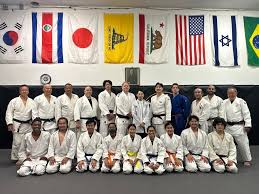 Image result for Halewood Inclusive Judo Club