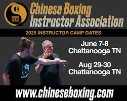 Image result for Enfield T'ai Tsung Chinese Boxing