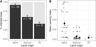 Attēlu rezultāti vaicājumam “Lachnellula willkommii”