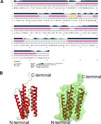 Attēlu rezultāti vaicājumam “undetermined plasmodium”