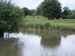Image result for South Kyme Golf Club