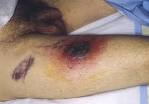 Catalog of Clinical Images