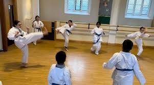Image result for Seiki Juku Karate Club